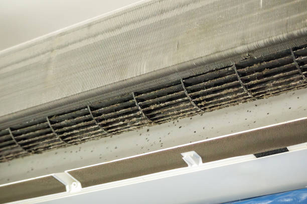 Best Commercial HVAC Duct Cleaning  in Tampa, FL